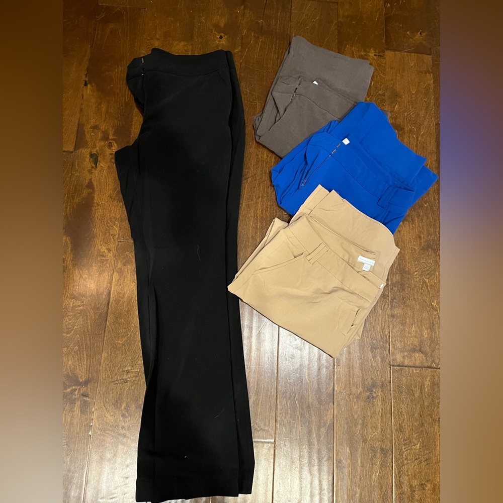 New York & Company Pants Bundle
